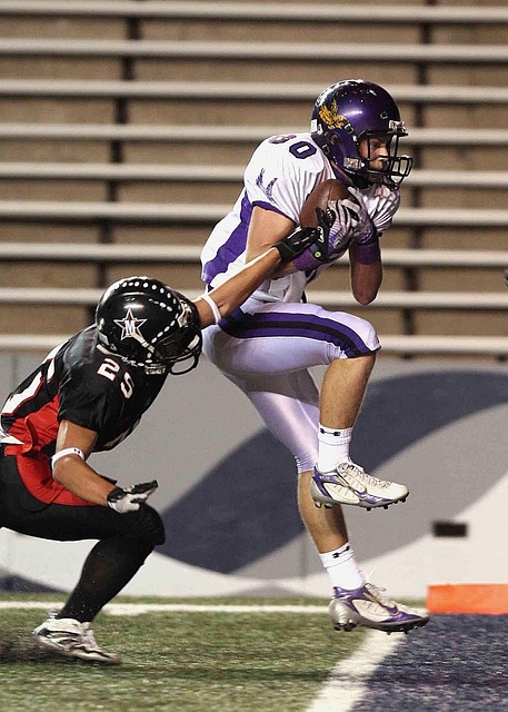 他逐渐成为 他逐渐成为