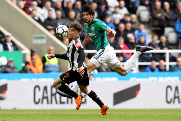 不仅在职业 不仅在职业