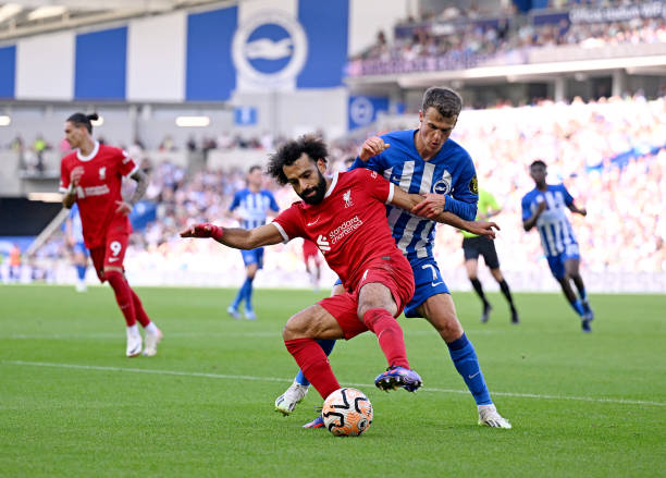 施肥导致的 施肥导致的